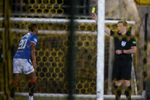 流浪者爆料最新,城市边缘的生存真相